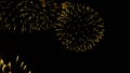 Beautiful Golden yellow flowers projected by fireworks lights on