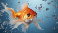 a beautiful goldfish swimming on water background generative AI Royalty Free Stock Photo