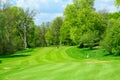 Beautiful golf course in fresh green colors