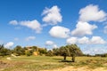 Beautiful golf course under a blue sky with clouds Royalty Free Stock Photo