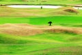 Beautiful golf place with nice background Royalty Free Stock Photo