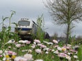 Beautiful goods train with ecologically sustainable transport flowers