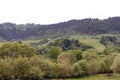 Beautiful gorge among the mountains covered with green vegetation and trees in the spring Royalty Free Stock Photo