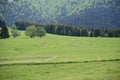 Beautiful gorge among the mountains covered with green vegetation and ships Royalty Free Stock Photo