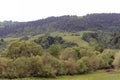 Beautiful gorge among the mountains covered with green vegetation and trees in the spring Royalty Free Stock Photo