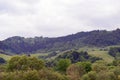 Beautiful gorge among the mountains covered with green vegetation and trees in the spring Royalty Free Stock Photo