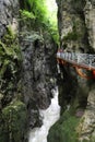 Beautiful gorge, river canion, France Royalty Free Stock Photo