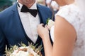 Beautiful gorgeous bride putting on boutonniere on groom suit wi Royalty Free Stock Photo