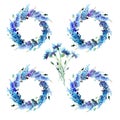 Beautiful gorgeous bright floral spring colorful delphiniums and cornflowers wreath with buds pattern