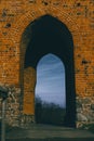 Beautiful Gothic brick gate of the castle