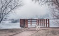 Beautiful Gothic scenery and Siberian husky