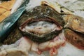 Seafood Display with smiling Monk Fish