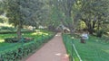 Beautiful Government botanical gardens in Ooty, Tamilnadu, India