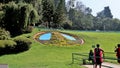 Beautiful Government botanical gardens in Ooty, Tamilnadu, India