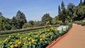 Beautiful Government botanical gardens in Ooty, Tamilnadu, India