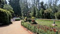 Beautiful Government botanical gardens in Ooty, Tamilnadu, India