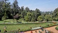 Beautiful Government botanical gardens in Ooty, Tamilnadu, India