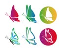 Beautiful graceful majestic colorful butterfly logo design