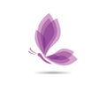 Beautiful graceful majestic colorful butterfly logo design