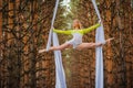 Beautiful and graceful trapeze artist performs exercises on aerial silk Royalty Free Stock Photo