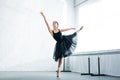 beautiful graceful young ballerina dancing