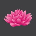 Beautiful gradient lotus flower vector template