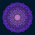 Beautiful gradient style mandala vector design