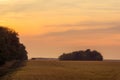 Grain fields with beautiful sunset