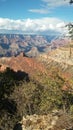 The beautiful Grand canyon Arizona