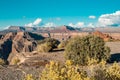 Beautiful colorful grand canyon landscape with bush on theforeground Royalty Free Stock Photo