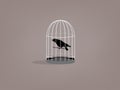 Beautiful graphic design of crow in birdcage