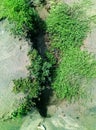 Beautiful grass with ground illustration at the sand of river bank