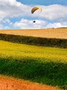 Beautiful grass hill landscape, autumn season