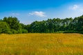 Beautiful grass meadow landscape with lots of trees, the melanen, Halsteren, Bergen op zoom, The Netherlands