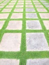 Beautiful grass tiles walk way Royalty Free Stock Photo