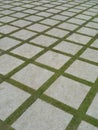 Beautiful grass tiles walk way in the garden Royalty Free Stock Photo