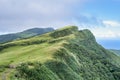 Beautiful grassland, prairie in Taoyuan Valley