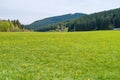 Beautiful grassland scenery in Germany