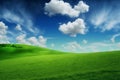 Beautiful grassy field nature landscape background panorama with blooming glade, trees, hills and blue sky, generative ai Royalty Free Stock Photo