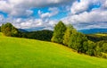 Beautiful grassy meadow on hillside in mountains Royalty Free Stock Photo