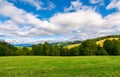 Beautiful grassy meadow on hillside in mountains Royalty Free Stock Photo