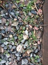 Beautiful gravel background winter days