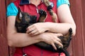 Beautiful gray German Shepherd puppy with his new owner on a sunny spring afternoon in Skaraborg Sweden Royalty Free Stock Photo