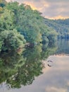 A beautiful gray heron flies over the river, against the backdrop of the forest. Royalty Free Stock Photo