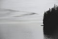 Beautiful grayscale shot of Baranof island with lush forest on seashore covered in dense fog, Alaska Royalty Free Stock Photo