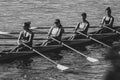 Beautiful grayscale shot of women rowing team on the river Danube