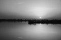 Beautiful grayscale sunset scenery over the lake with silhouetted grass