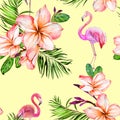 Beautiful greater flamingo and plumeria flowers on yellow background. Exotic tropical seamless pattern. Watecolor painting. Royalty Free Stock Photo
