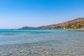 A beautiful Greek beach on the Aegean Sea in Halkidiki. Black sea urchin in the sea