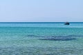 A beautiful Greek beach on the Aegean Sea in Halkidiki. Black sea urchin in the sea Royalty Free Stock Photo